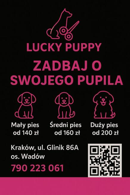 Strzyzenie Psów. Wolne terminy !