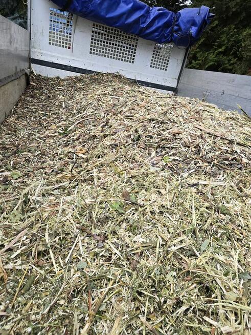 Koparki uslugi ziemne i ogrodnicze koszenie karczowanie rębak