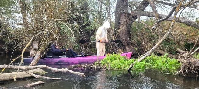 Spływy kajakowe Bastek Nidą
