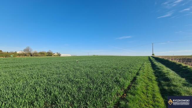 Działka budowlana Sitaniec gm. Zamość