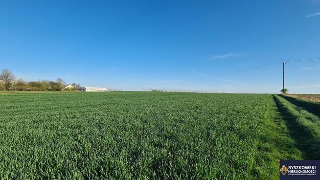 Działka budowlana Sitaniec gm. Zamość