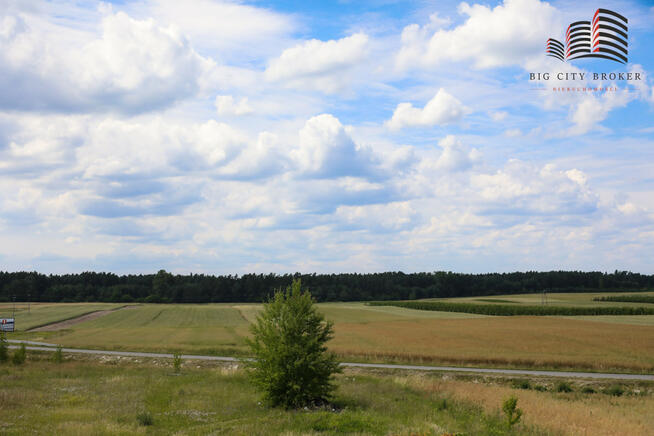 Lokal użytkowy Elżbieta gm. Opole Lubelskie,