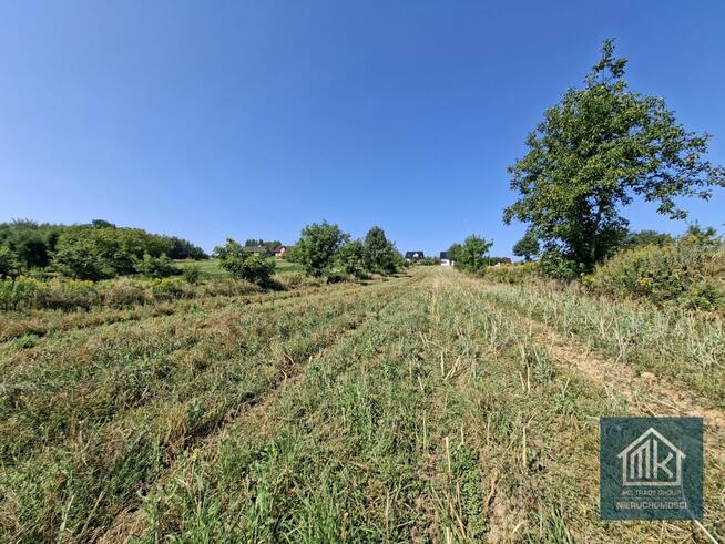 Działka budowlana Bodzanów gm. Biskupice,