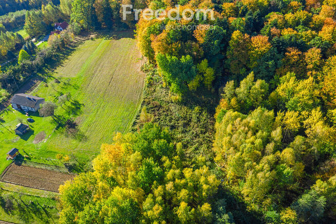 Widokowa działka 5779 m² Mogielnica k. Rzeszowa