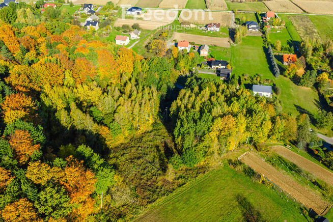 Widokowa działka 5779 m² Mogielnica k. Rzeszowa