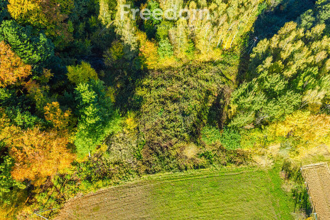 Widokowa działka 5779 m² Mogielnica k. Rzeszowa