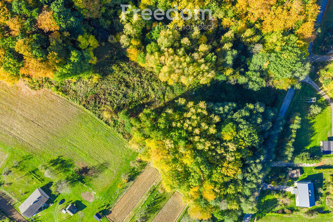 Widokowa działka 5779 m² Mogielnica k. Rzeszowa