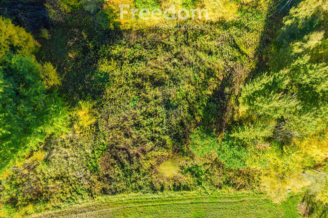 Widokowa działka 5779 m² Mogielnica k. Rzeszowa