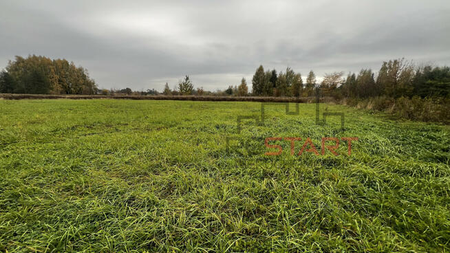 Działka inwestycyjna Żaby gm. Baranów,