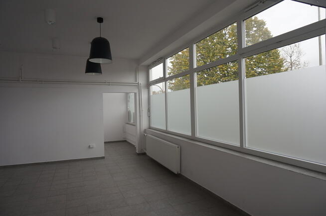 Lokale handlowo-usługowe pasaż Górczyn