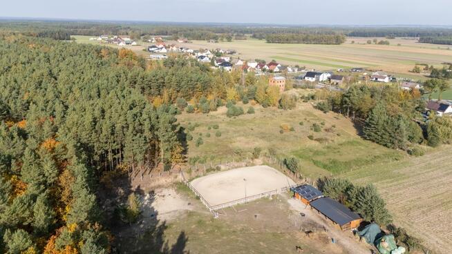 Działka usługowa Sieraków Śląski gm. Ciasna, Oleska