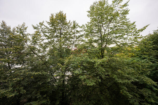 Mieszkanie Wrocław Fabryczna, Popowice, Kwiska