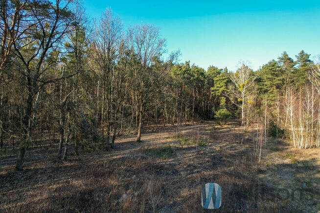 Działka budowlana Leszno, Polna