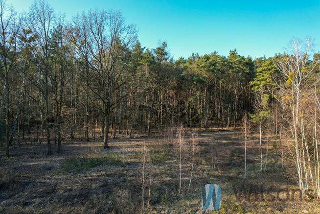 Działka budowlana Leszno, Polna