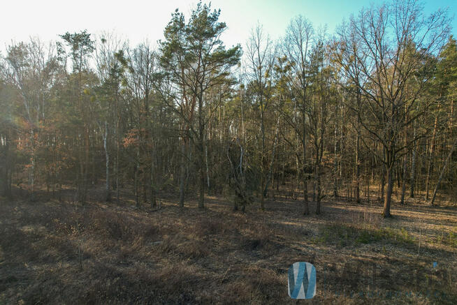 Działka budowlana Leszno, Polna