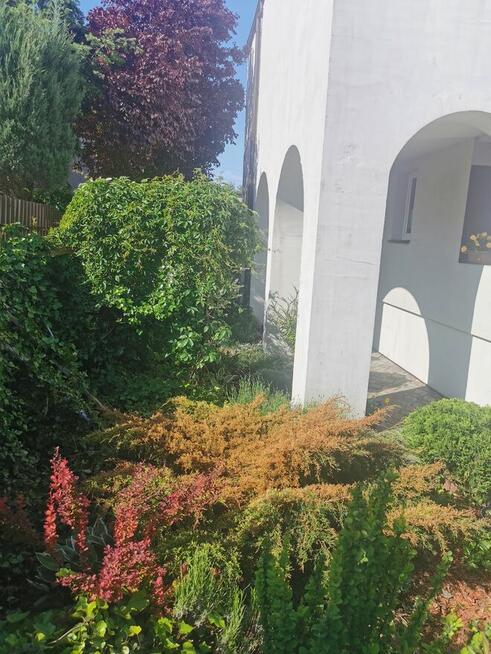 Sprzedam dom w Opatówku/zamiana na mieszkanie