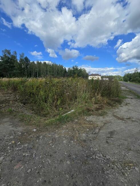 Koparki uslugi ziemne i ogrodnicze koszenie karczowanie rębak