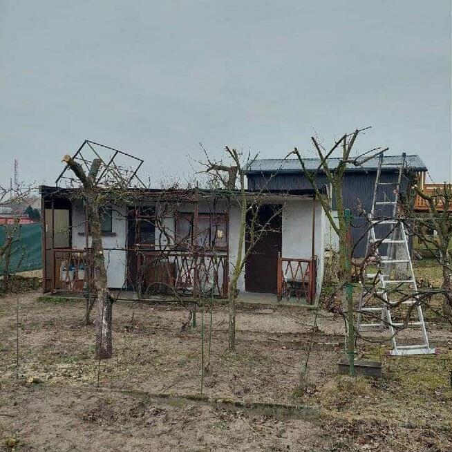 DZIAŁKA ROD - Sprzedam