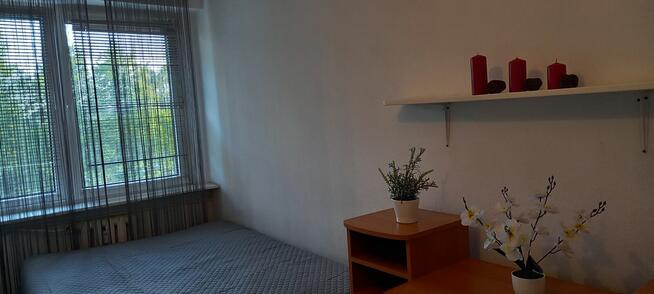 Mieszkanie do wynajęcia - (bez opłaty za czynsz)