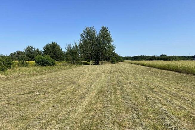 Twoja wymarzona działka budowlana Brańszczyk k. Wyszkowa