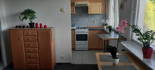 Mieszkanie do wynajęcia - (bez opłaty za czynsz)