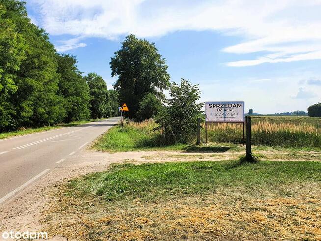 Działki z warunkami zabudowy | Domy jednorodzinne | Sońsk