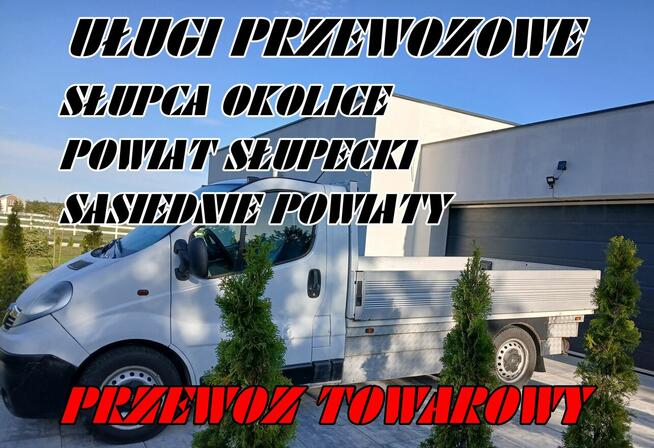 Usługi Przewozowe Autem Dostawczym 3,5t