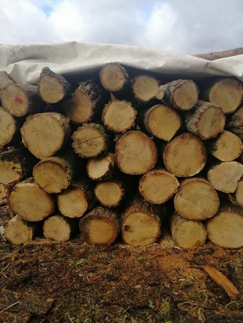 Suche wałki dębowe oraz sosnowe! Możliwy transport