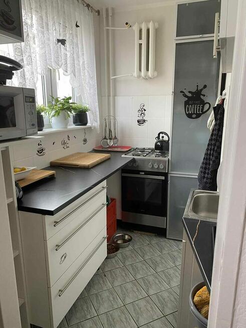 Mieszkanie na wynajem