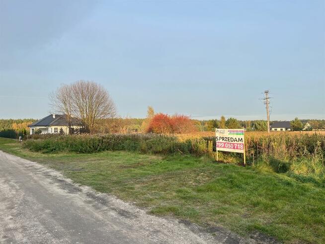 Działki budowlane Kopanino, blisko lasu