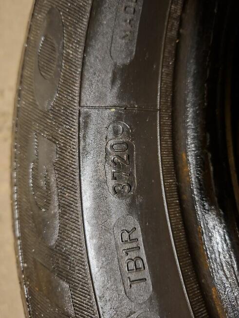 Opona zimowa Dębica Frigo NEW 195/65 R15