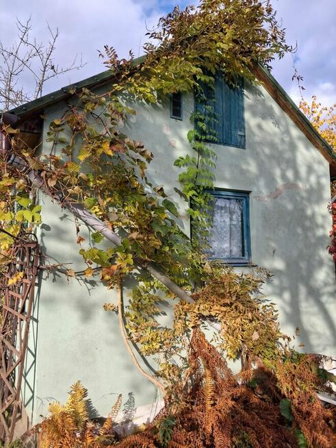 Sprzedam działkę ROD LEŚNY LUBIN