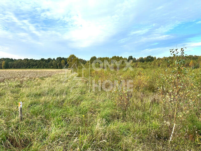 Działka rolna Sulicice gm. Krokowa Ameryka,