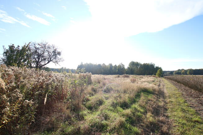 Działka budowlana 15 ar Kozioł g. Baranów