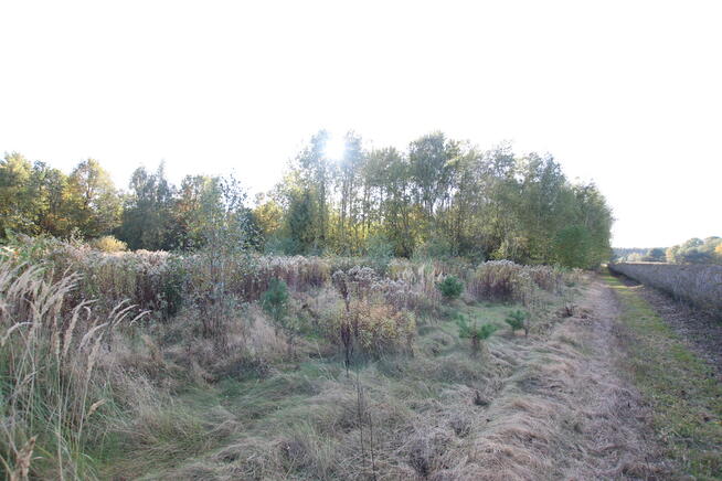 Działka budowlana 15 ar Kozioł g. Baranów