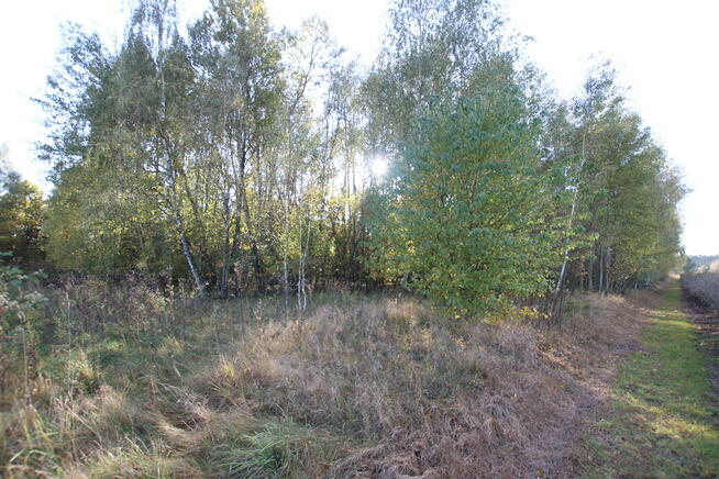 Działka budowlana 15 ar Kozioł g. Baranów