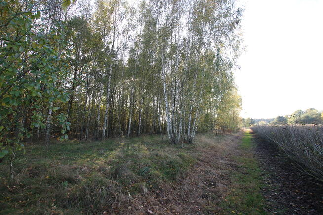 Działka budowlana 15 ar Kozioł g. Baranów