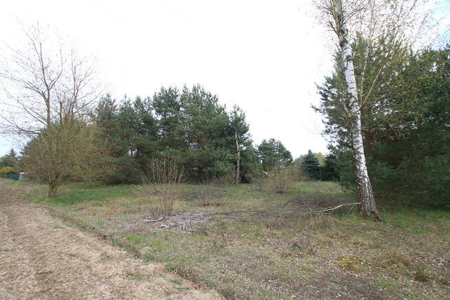 Duża działka 0,6 ha leśno-budowlana Wola Lisowska