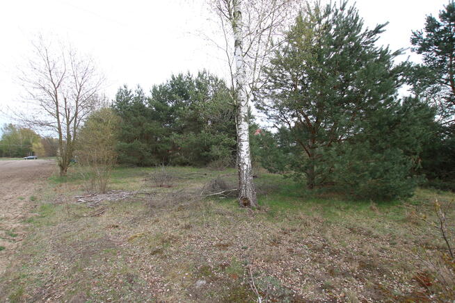 Duża działka 0,6 ha leśno-budowlana Wola Lisowska