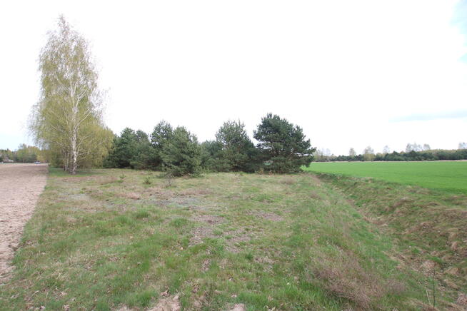 Duża działka 0,6 ha leśno-budowlana Wola Lisowska