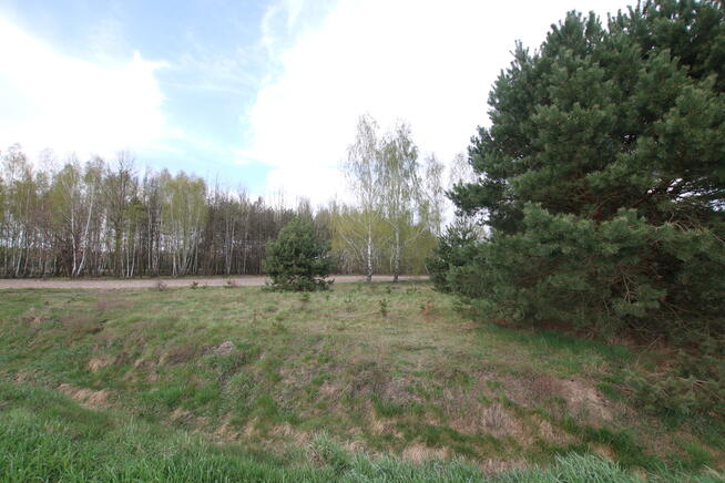 Duża działka 0,6 ha leśno-budowlana Wola Lisowska