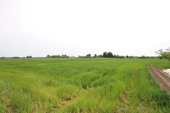 Działka rolno-budowalana Brzostówka g. Serniki 50a