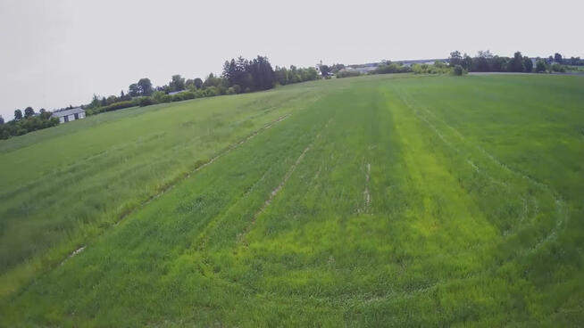 Działka rolno-budowalana Brzostówka g. Serniki 50a