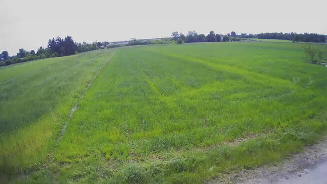 Działka rolno-budowalana Brzostówka g. Serniki 50a