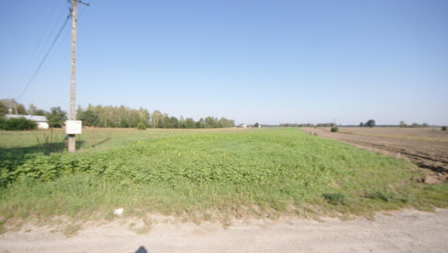 Działka rolno budowlana 96a Rudka Gołębska