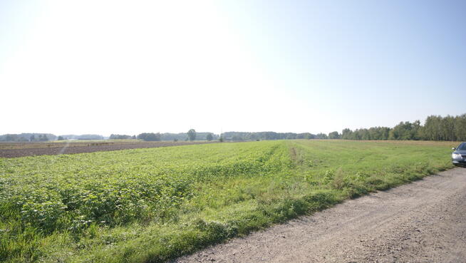 Działka rolno budowlana 96a Rudka Gołębska