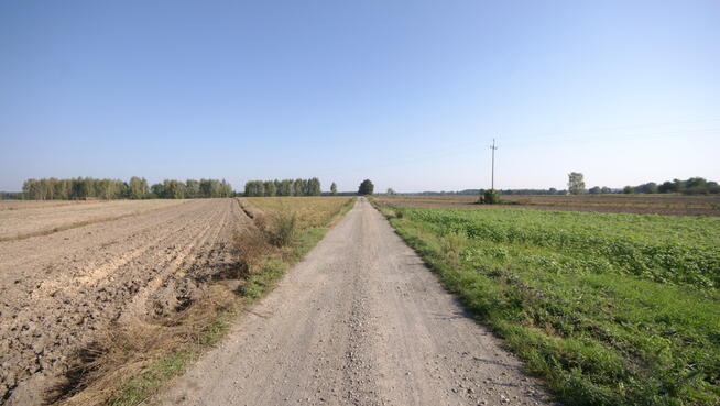 Działka rolno budowlana 96a Rudka Gołębska