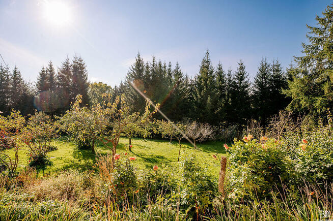 Dom , Plac Zwycięstwa