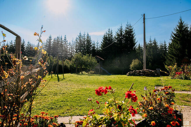 Dom , Plac Zwycięstwa