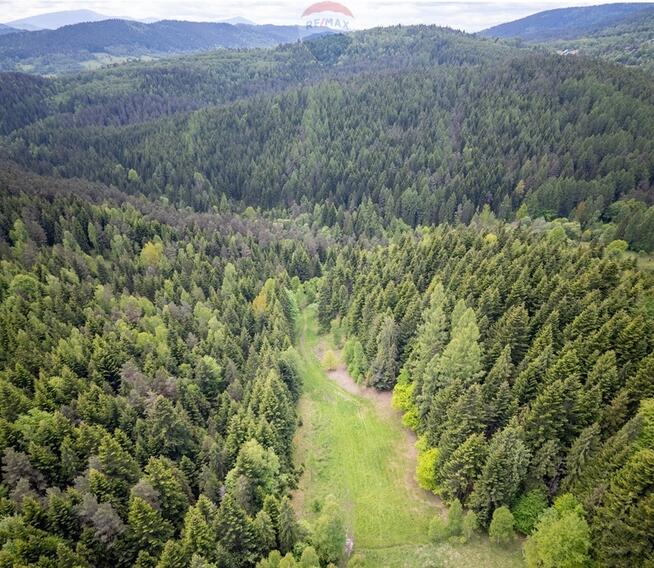 Działka rolna w Krzeszowie